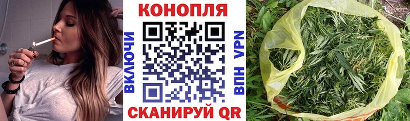 Виды наркотиков купить Шумиха Канабис  Alpha-PVP  ГАШ  МЕТАМФЕТАМИН  Мефедрон 