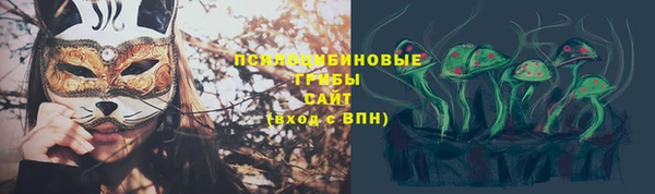 гидропоника Медногорск