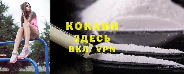 дживик Мегион