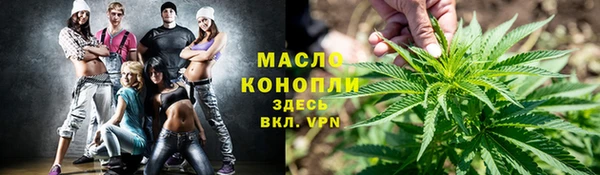 гидропоника Медногорск